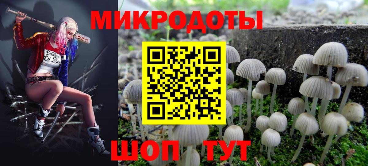 Калуга  Псилоцибиновые грибы Cubensis  Вход с VPN 